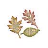 Tim Holtz / Sizzix Die - Bigz / Tattered Leaves