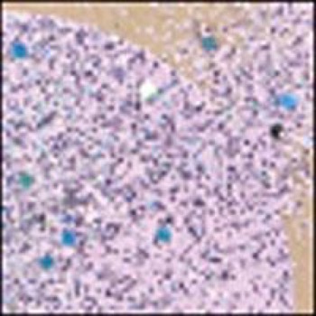 Stampendous Embossing Pulver - Tinsel Vintage Lilac