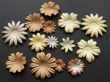 Wild Orchid Crafts - Mixed Blooms / Cream & Browns (100 stk.)