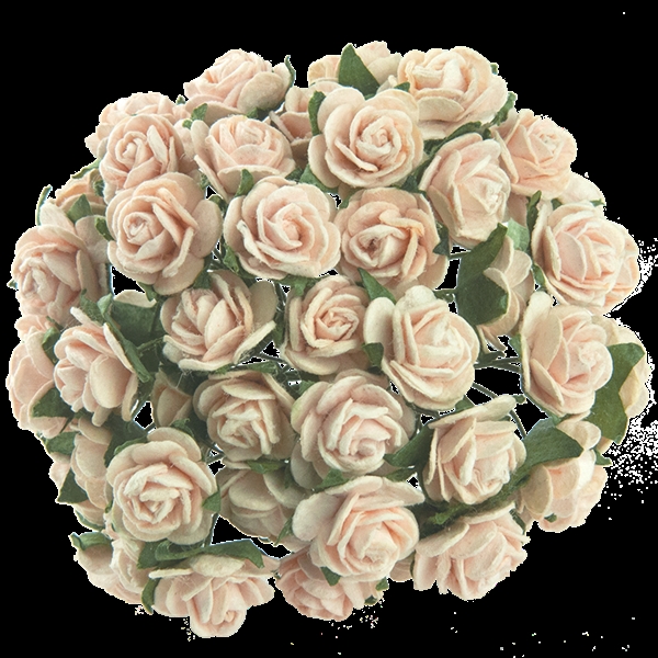 Wild Orchid Crafts - Paper Roses 15mm / Ivory (50 stk.)