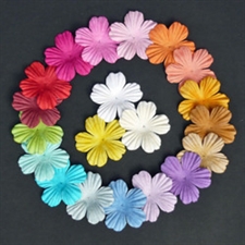 Wild Orchid Crafts - Mixed Colour Summer Blooms / 45 mm (100 stk.)