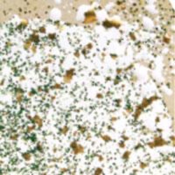 Embossing Pulver - Shabby Green