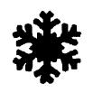 Punch - Aspen Snowflake (S)