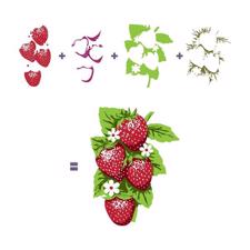 Hero Arts Clear Stamp Set - Strawberries (layered)