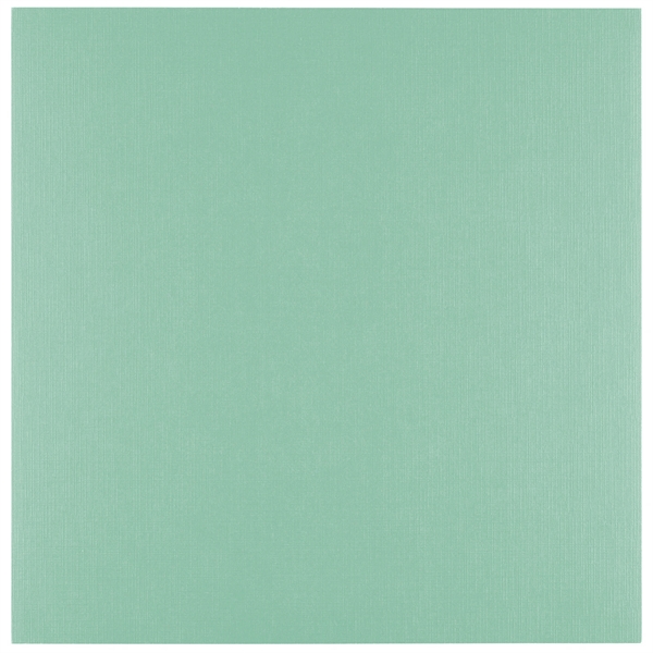 Vaessen Creative Florence Linnen Karton 250 g 12x12" - Iguana (10 ark)