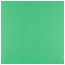 Vaessen Creative Florence Linnen Karton 250 g 12x12" - Holly (10 ark)