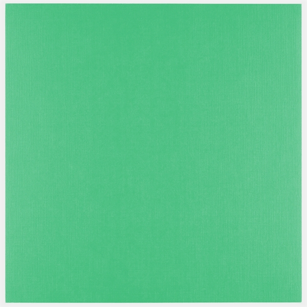 Vaessen Creative Florence Linnen Karton 250 g 12x12" - Holly (10 ark)