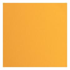 Vaessen Creative Florence Cardstock 12x12" - Canvas Texture / Grapefruit