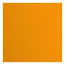 Vaessen Creative Florence Cardstock 12x12" - Canvas Texture / Mango