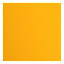 Vaessen Creative Florence Cardstock 12x12" - Canvas Texture / Saffron