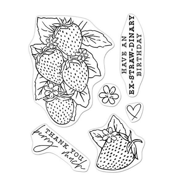 Hero Arts Clear Stamp Set - Florals Strawberries Line Art