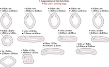 Sizzix Thinlits Dies - Susan\'s Garden / Flower, Crocus