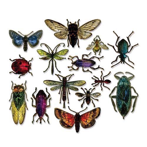 Sizzix Framelits - Tim Holtz / Entomology (dies)