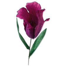 Sizzix Thinlits - Flower Set / Fringed Tulip