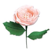 Sizzix Thinlits - Flower Set / Garden Rose