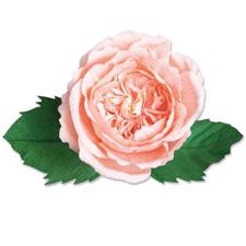 Sizzix Thinlits - Flower Set / Garden Rose