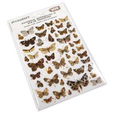 49 and Market Essential Rub-Ons - Butterflies 6x8" (2 ark)