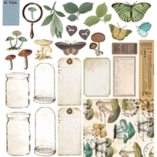 49 and Market Collection Pack 12x12" - Nature Study
