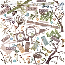 49 and Market - Nature Study Cut-outs / Elements