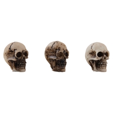Tim Holtz / Idea-ology Halloween 2023 - Skulls + Bones