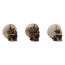 Tim Holtz / Idea-ology Halloween 2023 - Skulls + Bones
