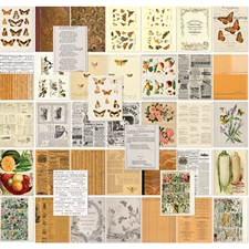 49 and Market Collage Sheets - Color Swatch: Peach
