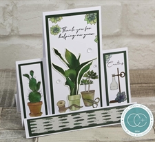 Craft Consortium Clear Stamps - Botany / Cactus