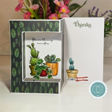 Craft Consortium Clear Stamps - Botany / Cactus