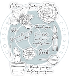 Craft Consortium Clear Stamps - Botany / Orchid