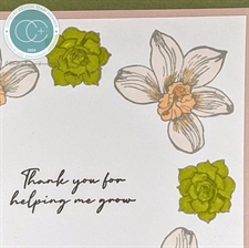 Craft Consortium Clear Stamps - Botany / Orchid