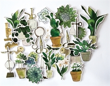 Craft Consortium - Botany / Chipboard Ephemera