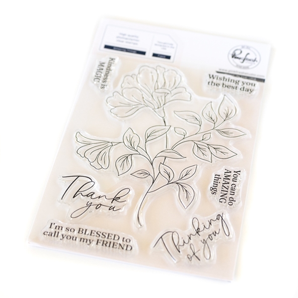 PinkFresh Studios Stamp - Amazing Things