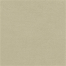 49 and Market Collection Pack 12x12" - Nature\'s Haven SOLIDS