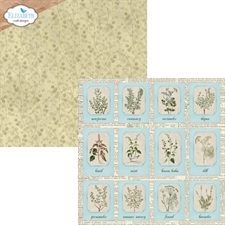 Elizabeth Crafts Paper Pack 12x12" - Delightful Discovery