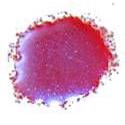 Cosmic Shimmer Embossing Pulver - Powder Blue Raspberry