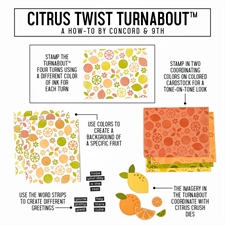 Concord & 9th Stamp Set - Citrus Twist Turnabout