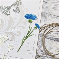 GummiApan DIE - Kornblomst (blåklint)