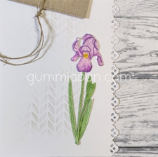 GummiApan DIE - Iris