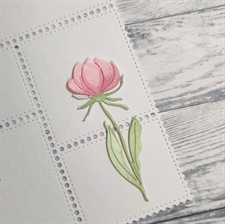 GummiApan DIE - Malva