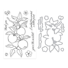 Hero Arts Clear Stamp & Cut - Apple Branch