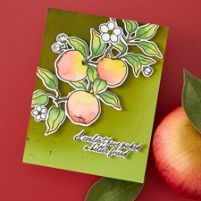 Hero Arts Clear Stamp & Cut - Apple Branch