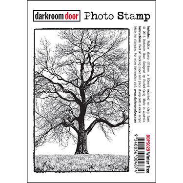Darkroom Door Stamp - Photo Stamp / Winter Tree
