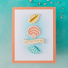 Hero Arts Die - Sophisticated Shells