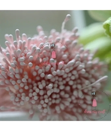 Dress My Craft Flower Stamen (støvdragere) - Pastel Thread Pollen / Baby Pink