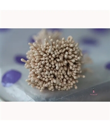 Dress My Craft Flower Stamen (støvdragere) - Pastel Thread Pollen / Light Peach