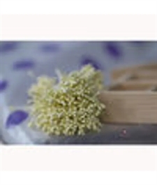 Dress My Craft Flower Stamen (støvdragere) - Pastel Thread Pollen / Lemon Yellow