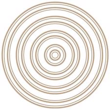 Spellbinders Hot Foil Plate - Essential Duo Lines / Circles