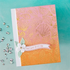 Hero Arts Letterpress & Foil Plate - Scattered Shells