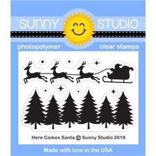 Sunny Studio Stamps - Clear Stamp / Here Comes Santa