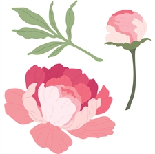 Honey Bee Stamps / Honey Cuts - Lovely Layers: Peony